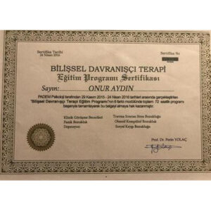 bilişsel davranışçı terapi-1(1)(1)(2)(1)